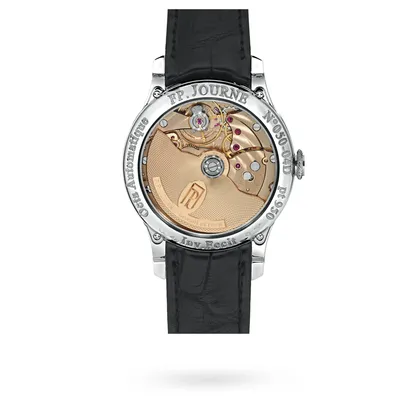 F.P. Journe Octa Divine D, case back
