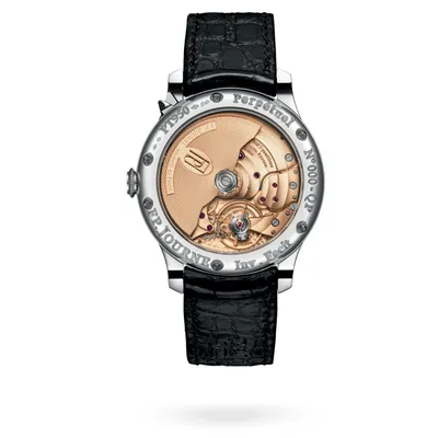 F.P. Journe Quantième Perpétuel Black Label QP, case back