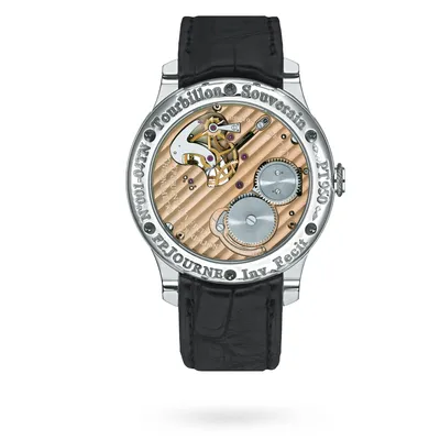 F.P. Journe Tourbillon Souverain TN, case back