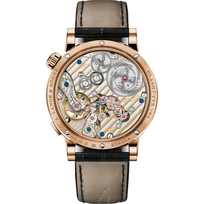 A. Lange & Söhne Zeitwerk, case back
