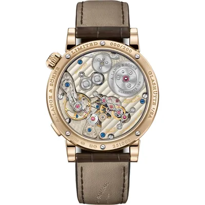 A. Lange & Söhne Zeitwerk Honeygold “Lumen”, case back