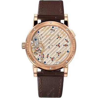 A. Lange & Söhne Lange 1 Moon Phase, case back