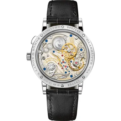 A. Lange & Söhne 1815 “Homage to Walter Lange”, case back