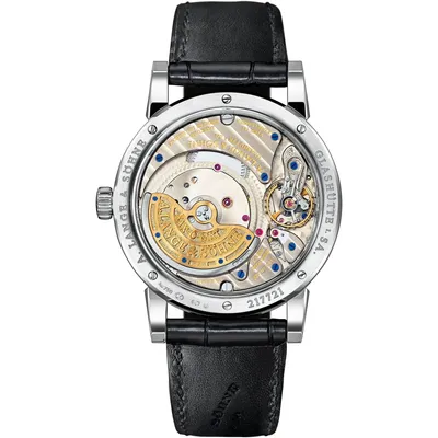 A. Lange & Söhne Langematik Perpetual, case back