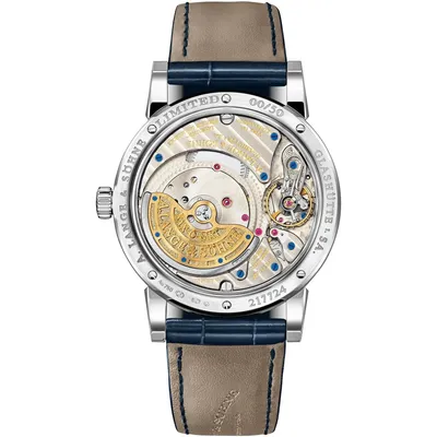 A. Lange & Söhne Langematik Perpetual, case back