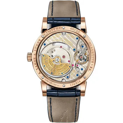 A. Lange & Söhne Langematik Perpetual, case back