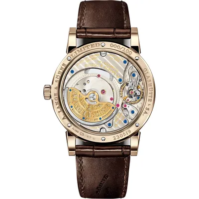 A. Lange & Söhne Langematik Perpetual Honeygold, case back
