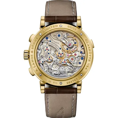 A. Lange & Söhne Datograph Handwerkskunst, case back