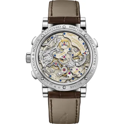 A. Lange & Söhne 1815 Rattrapante Perpetual Calendar, case back