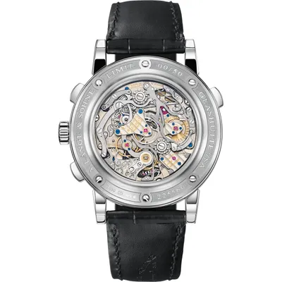 A. Lange & Söhne Tourbograph Perpetual “Pour le Mérite”, case back