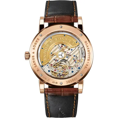 A. Lange & Söhne Lange 1 Tourbillon Perpetual Calendar, case back