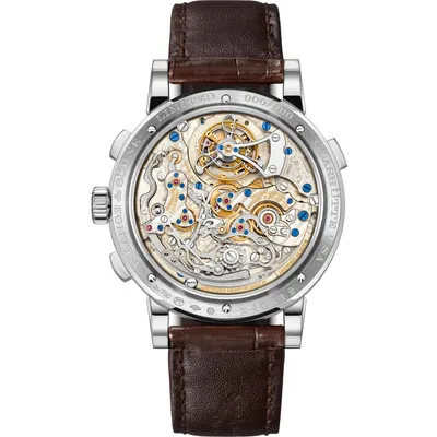 A. Lange & Söhne Datograph Perpetual Tourbillon, case back