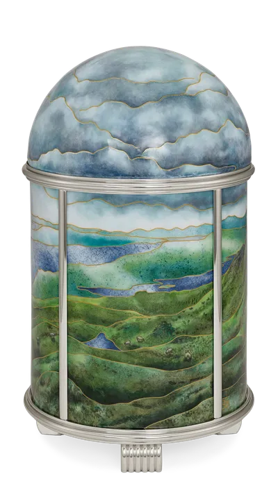 Case back