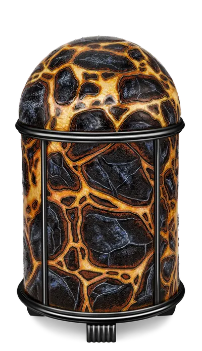Case back