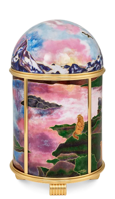 Case back