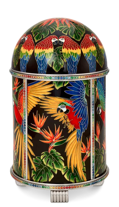 Case back