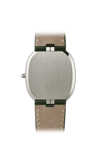 Case back