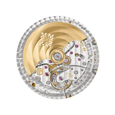 Movement, back