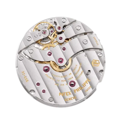 Movement, back