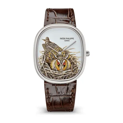 Patek Philippe Rare Handcrafts Brown Owl 5738/50G-049