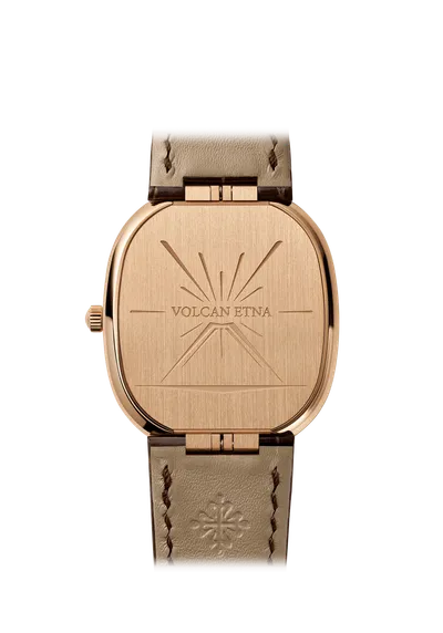 Case back
