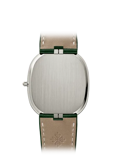 Case back