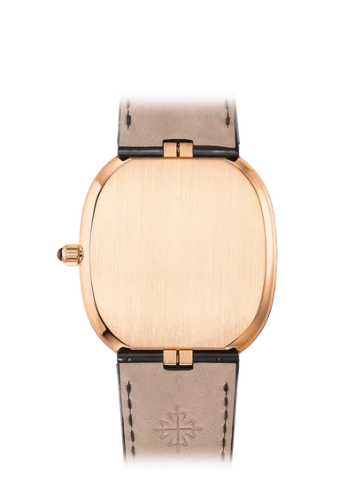 Case back