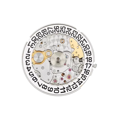 Movement, front