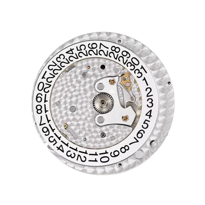 Movement, front
