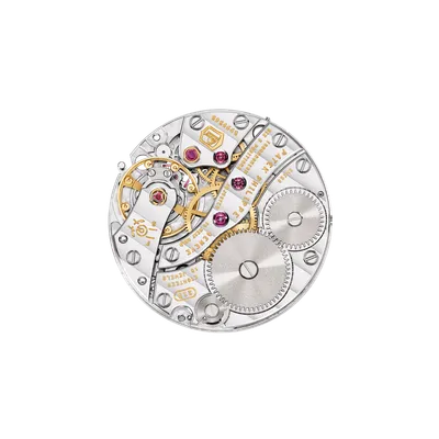 Movement, back