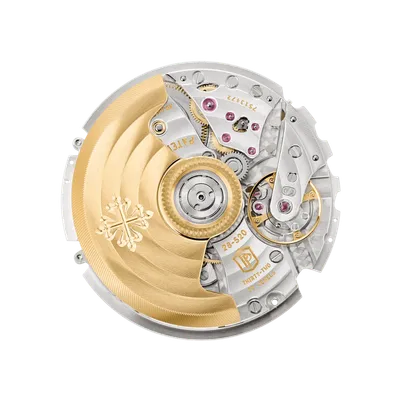 Movement, back