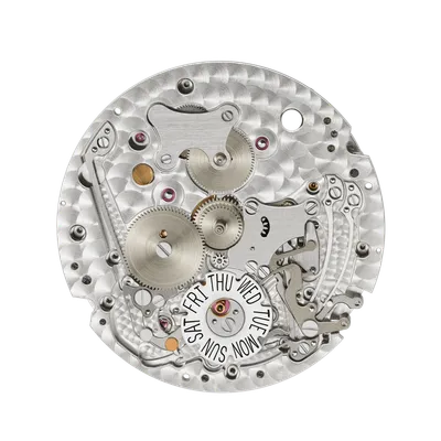 Movement, front