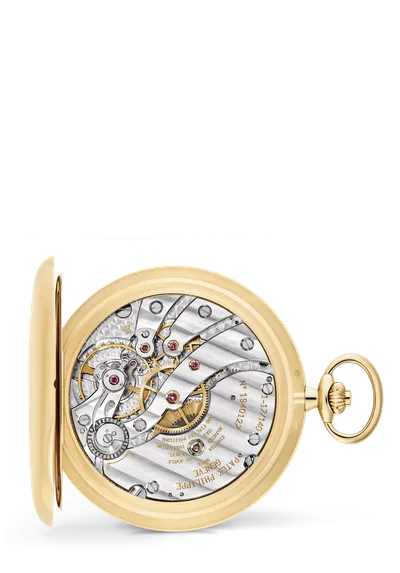 Case back