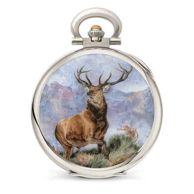 Case back