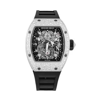 Richard Mille RM 17-01 WG Snow Setting