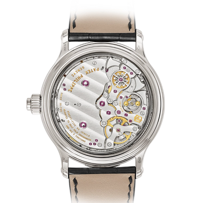 Patek Philippe Grand Complications Grande and Petite Sonnerie Minute Repeater 6301P-001